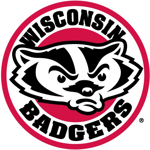 Wisconsin Badgers 2002-Pres Alternate Logo v2 diy DTF decal sticker...